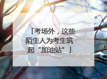 考场外，这些陌生人为考生筑起“加油站”