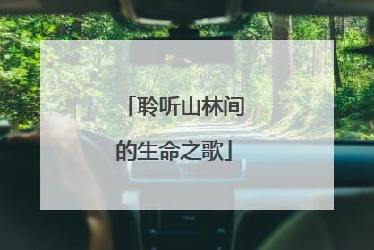 聆听山林间的生命之歌