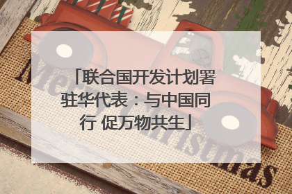 联合国开发计划署驻华代表：与中国同行 促万物共生