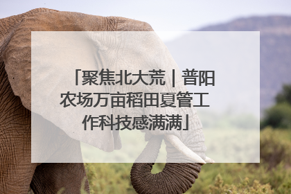 聚焦北大荒｜普阳农场万亩稻田夏管工作科技感满满