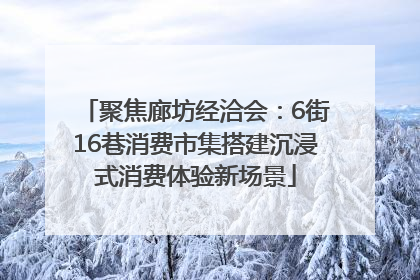 聚焦廊坊经洽会：6街16巷消费市集搭建沉浸式消费体验新场景