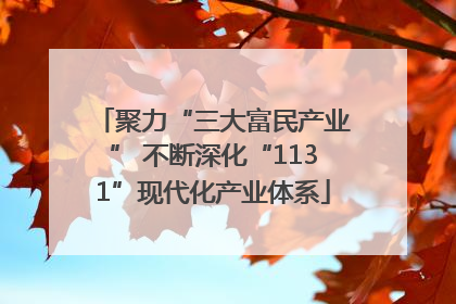 聚力“三大富民产业” 不断深化“1131”现代化产业体系