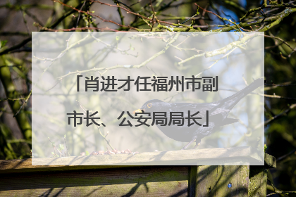 肖进才任福州市副市长、公安局局长