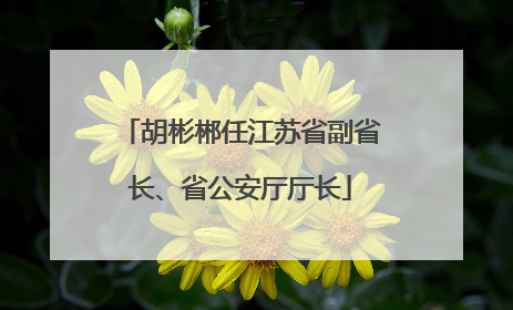 胡彬郴任江苏省副省长、省公安厅厅长