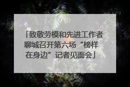 致敬劳模和先进工作者 聊城召开第六场“榜样在身边”记者见面会