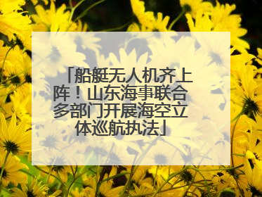 船艇无人机齐上阵！山东海事联合多部门开展海空立体巡航执法