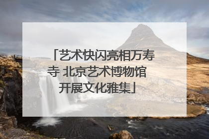 艺术快闪亮相万寿寺 北京艺术博物馆开展文化雅集