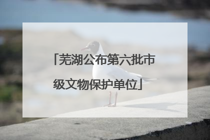 芜湖公布第六批市级文物保护单位
