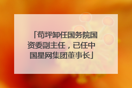 苟坪卸任国务院国资委副主任，已任中国星网集团董事长