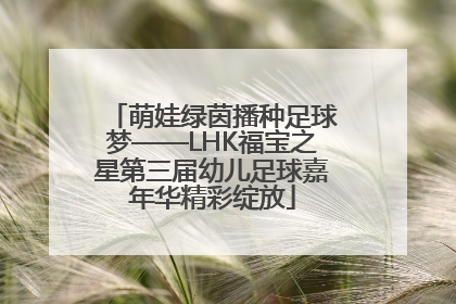 萌娃绿茵播种足球梦——LHK福宝之星第三届幼儿足球嘉年华精彩绽放