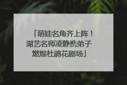 萌娃名角齐上阵！湖艺名师凌静携弟子燃爆杜鹃花剧场