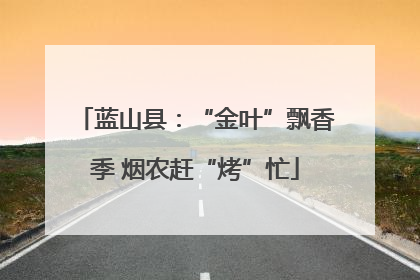 蓝山县：“金叶”飘香季 烟农赶“烤”忙
