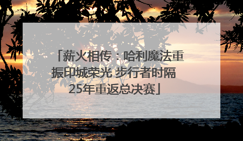薪火相传：哈利魔法重振印城荣光 步行者时隔25年重返总决赛