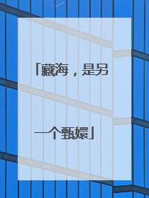 藏海，是另一个甄嬛