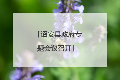 诏安县政府专题会议召开
