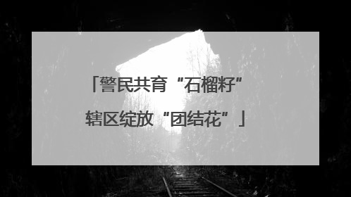 警民共育“石榴籽” 辖区绽放“团结花”