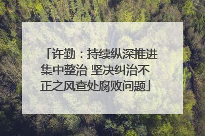 许勤：持续纵深推进集中整治 坚决纠治不正之风查处腐败问题