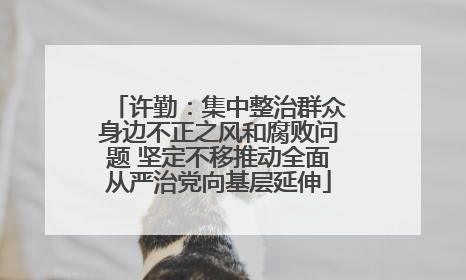 许勤：集中整治群众身边不正之风和腐败问题 坚定不移推动全面从严治党向基层延伸