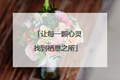 让每一颗心灵找到栖息之所
