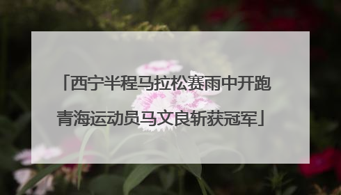 西宁半程马拉松赛雨中开跑 青海运动员马文良斩获冠军