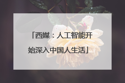 西媒：人工智能开始深入中国人生活