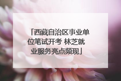 西藏自治区事业单位笔试开考 林芝就业服务亮点频现