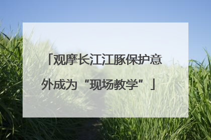 观摩长江江豚保护意外成为“现场教学”