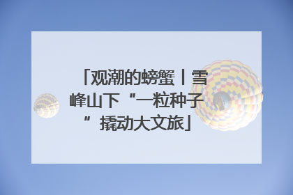 观潮的螃蟹丨雪峰山下“一粒种子”撬动大文旅