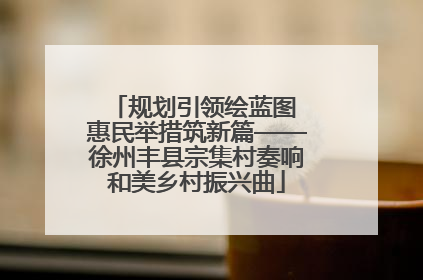 规划引领绘蓝图 惠民举措筑新篇——徐州丰县宗集村奏响和美乡村振兴曲