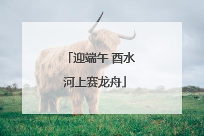 迎端午 酉水河上赛龙舟