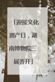 迎接文化遗产日，湖南博物院三展齐开