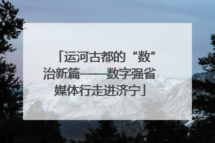 运河古都的“数”治新篇——数字强省媒体行走进济宁