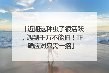 近期这种虫子很活跃，遇到千万不能拍！正确应对只需一招