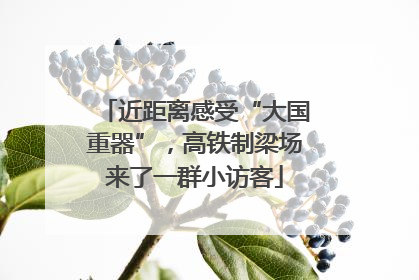 近距离感受“大国重器”，高铁制梁场来了一群小访客