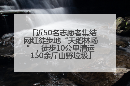 近50名志愿者集结网红徒步地“天鹅林场”，徒步10公里清运150余斤山野垃圾