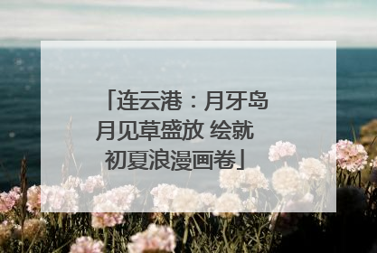 连云港：月牙岛月见草盛放 绘就初夏浪漫画卷