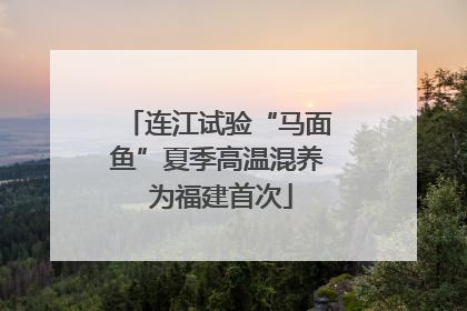 连江试验“马面鱼”夏季高温混养 为福建首次