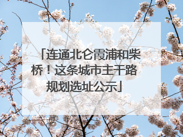 连通北仑霞浦和柴桥！这条城市主干路规划选址公示
