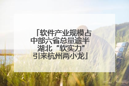 软件产业规模占中部六省总量逾半 湖北“软实力”引来杭州两小龙