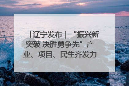 辽宁发布｜“振兴新突破 决胜勇争先”产业、项目、民生齐发力 葫芦岛按下决胜之年“加速键”