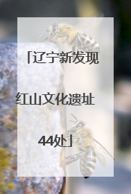 辽宁新发现红山文化遗址44处