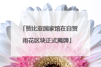 赞比亚国家馆在自贸雨花区块正式揭牌