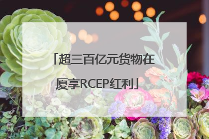 超三百亿元货物在厦享RCEP红利