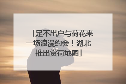 足不出户与荷花来一场浪漫约会！湖北推出赏荷地图