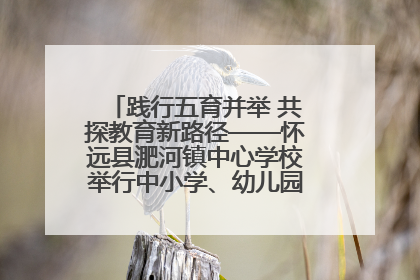 践行五育并举 共探教育新路径——怀远县淝河镇中心学校举行中小学、幼儿园班主任论坛活动