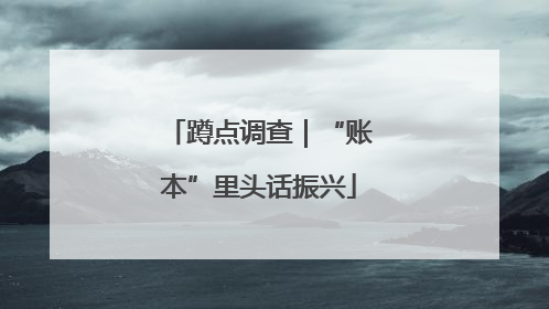 蹲点调查｜“账本”里头话振兴