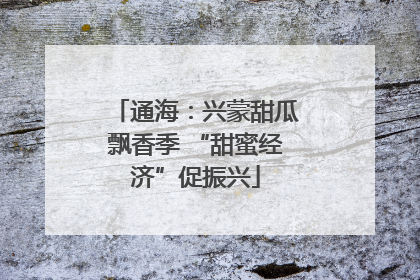 通海：兴蒙甜瓜飘香季 “甜蜜经济”促振兴