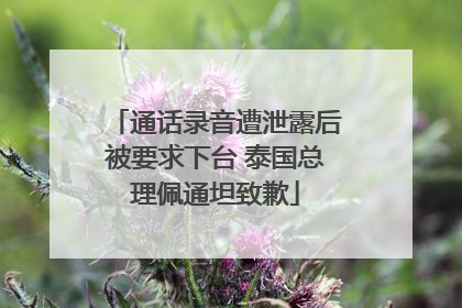 通话录音遭泄露后被要求下台 泰国总理佩通坦致歉