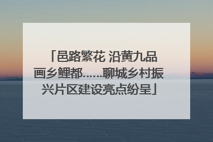 邑路繁花 沿黄九品 画乡鲤都……聊城乡村振兴片区建设亮点纷呈