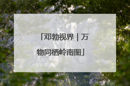 邓勃视界｜万物同栖岭南图